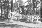 Terränghoppning/banhoppning, kavalleriofficersaspirantskolan 1934-35.