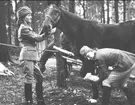 Utbildning av Blå stjärnan. Övning i förbandsläggning.