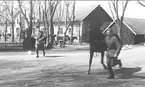 Remontfördelning, Gudhem 1947.