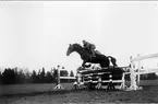 Officersaspirantskolan vid K 3 i Skövde 1929-30. Hinderträning. Bra stil!
