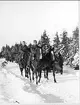 Livregementets husarer, K3. Övning Umeå 1940-tal.