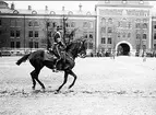 Dressyr på K 1 kaserngård i Stockholm.
