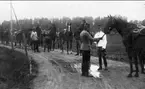 Nedanstående kavalleriofficerare avlade officersexamen på Karlberg 1923 och gick därefter ridskolan på Strömsholm 1924-25. Carl-Axel Stackelberg K 1, Sven Littorin K 3, Nils Frost K 4, Sven Axel Torén K 5, Carl Otto Smith K 6, Erik Wikland K 6. Efter avslutad jakt.