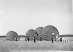 Fallskärmsjägarskolan Karlsborg i slutet av 1950-tal.Landning.