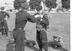 Fallskärmsjägarskolan Karlsborg 1959.Förberedelser inför fallskärmshoppning.