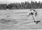 Fallskärmsjägarskolan Karlsborg 1955.Landning