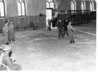 Fallskärmsjägarskolan i Karlsborg 1959.