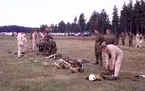 Fallskärmsjägarskolan i Karlsborg 1966.FJS-dagen.Flugebyn norr om Karlsborg.