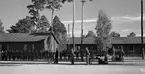 Fallskärmsjägarskolan i Karlsborg 1953.FJS-dagen.Utdelning Örnen.