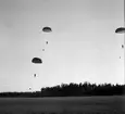 Fallskärmsjägarskolan i Karlsborg 1953.Hoppare.