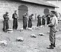 Fallskärmsjägarskolan i Karlsborg 1956.Hoppare-utrustning.