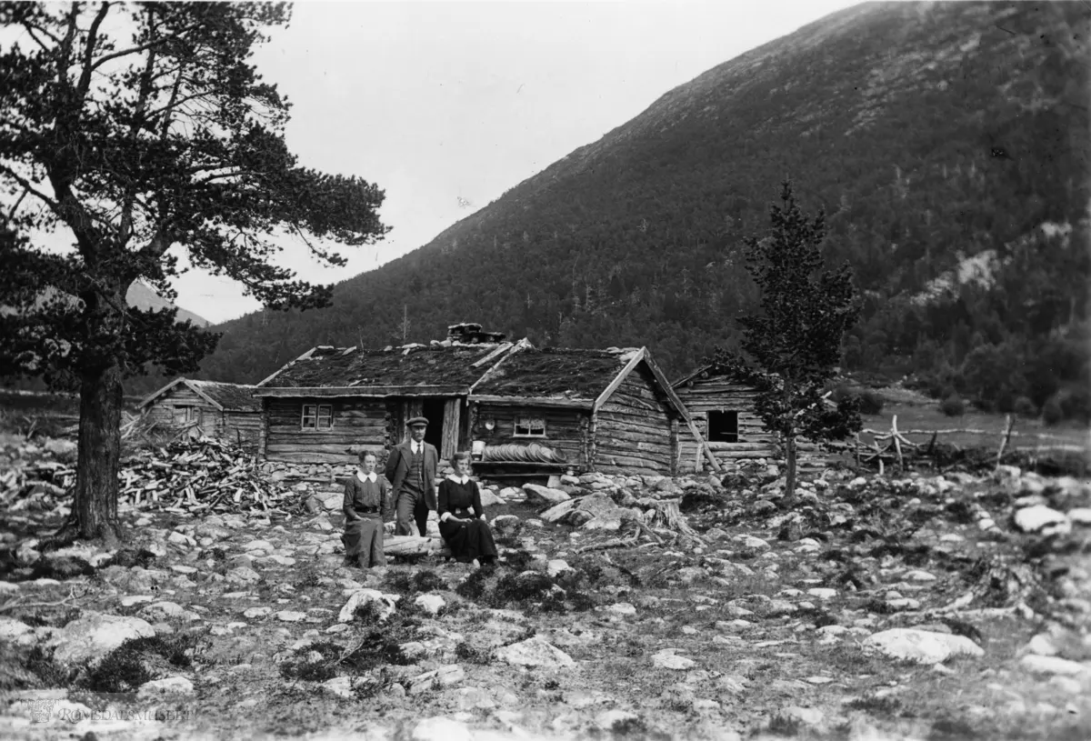 Holseteren, seteren må være Ner Hole sin. (Ziegler).