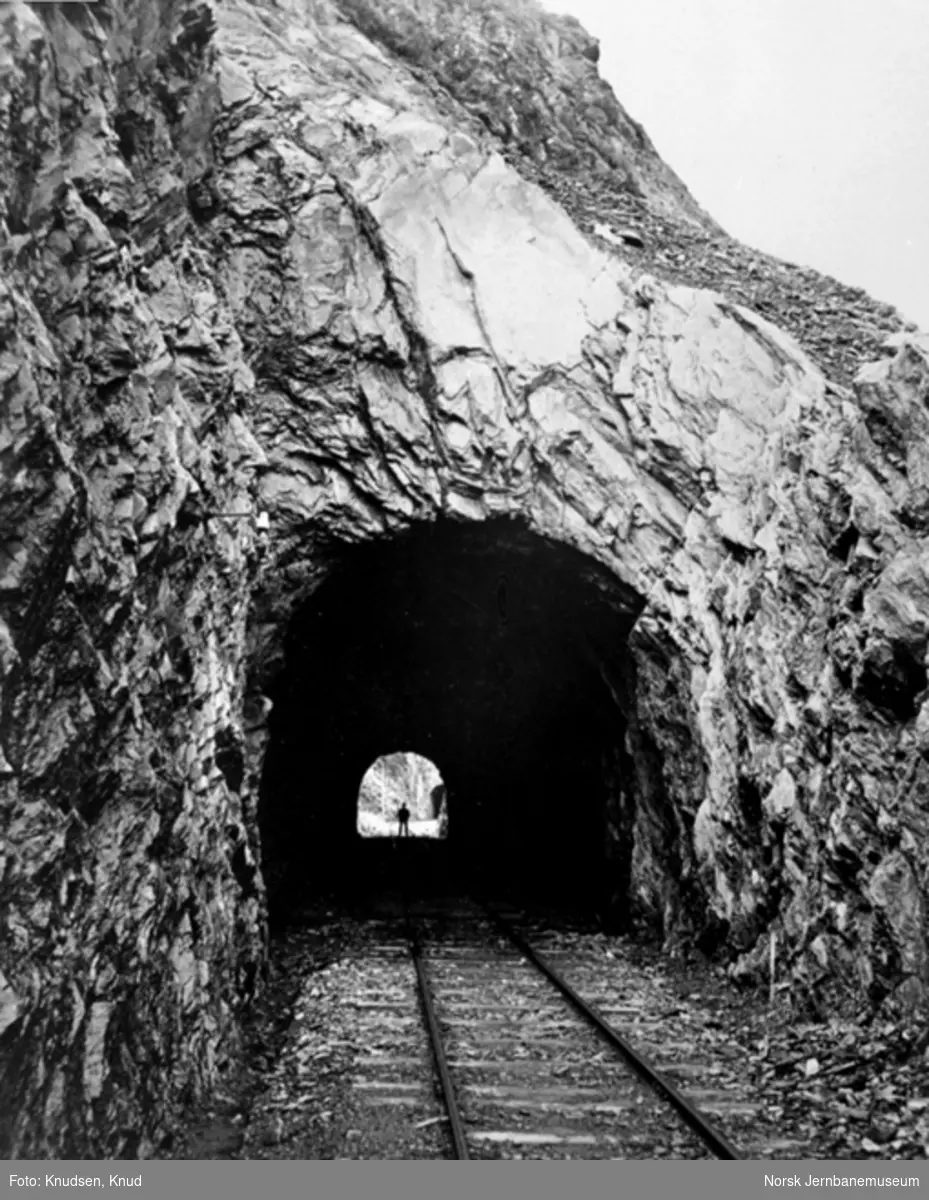 Parti fra Vossebanen; Trengereid tunnel