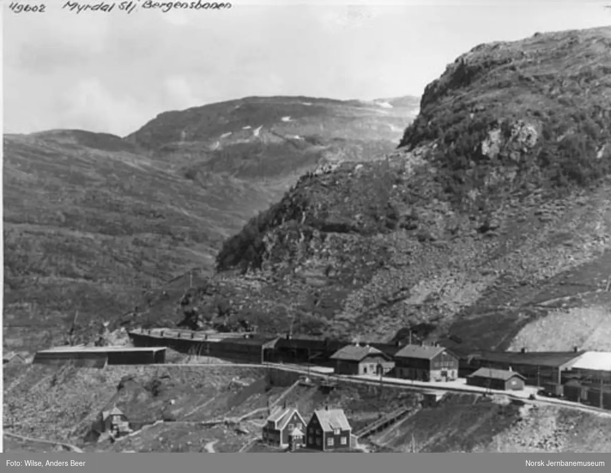 Myrdal stasjon : oversiktsbilde