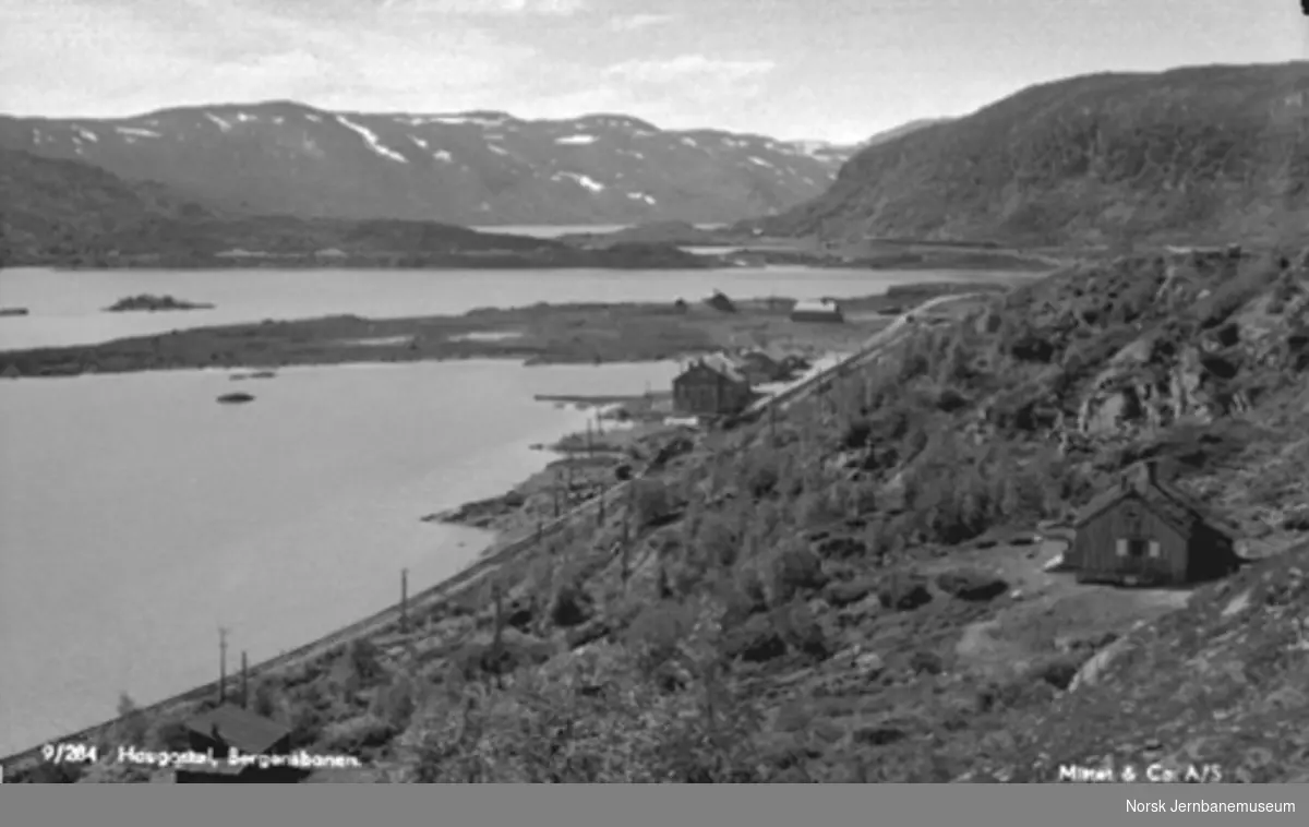 Oversiktsbilde over Haugastøl stasjon