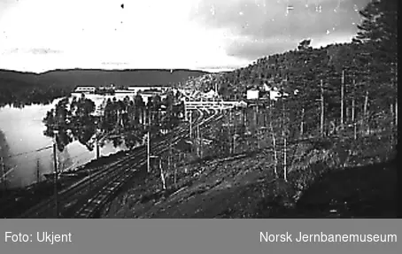 Oversiktsbilde med Nelaug stasjon