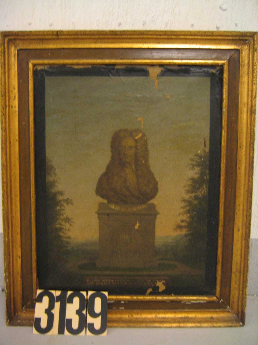 Byste av mann, på sokkel, landskap m/trær. Innskrift på sokkel: Sir Isaac Newton