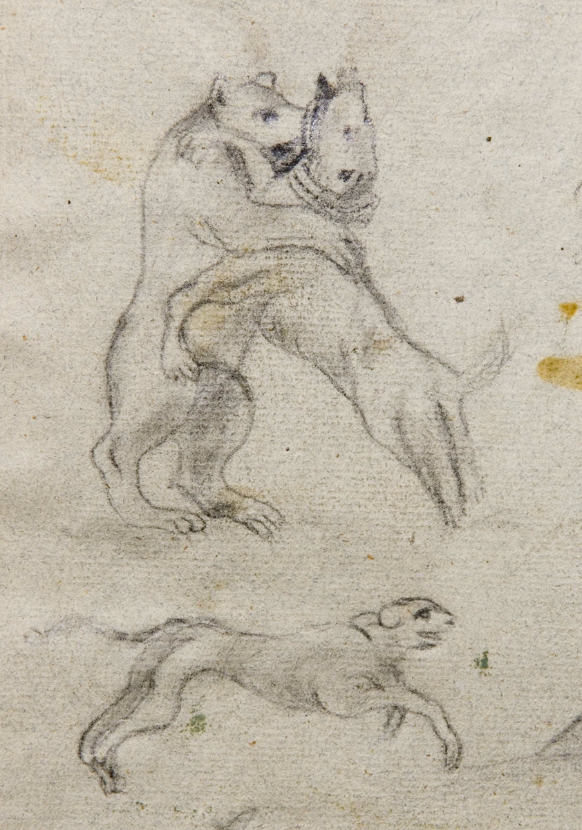 Bok