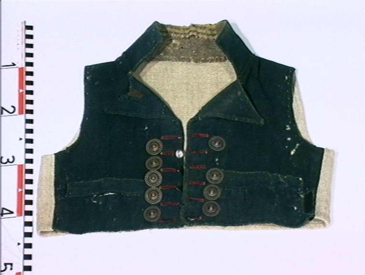 Vest