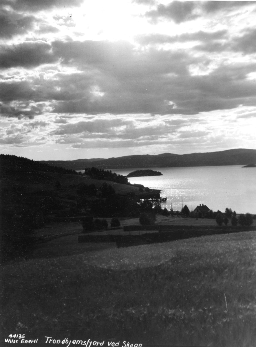 Topografi