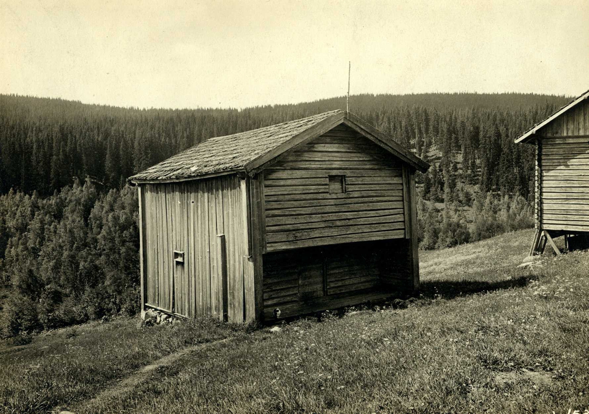 Falla, Hurdal, Øvre Romerike, Akershus. Bu med skog i bakgrunnen.