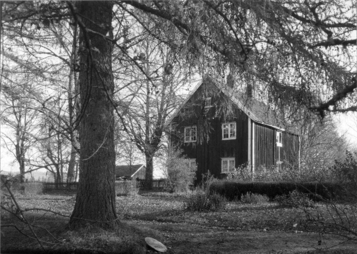 Mustorp, Eidsberg, Østfold. Bolighus i hage. Gran i forgrunnen.