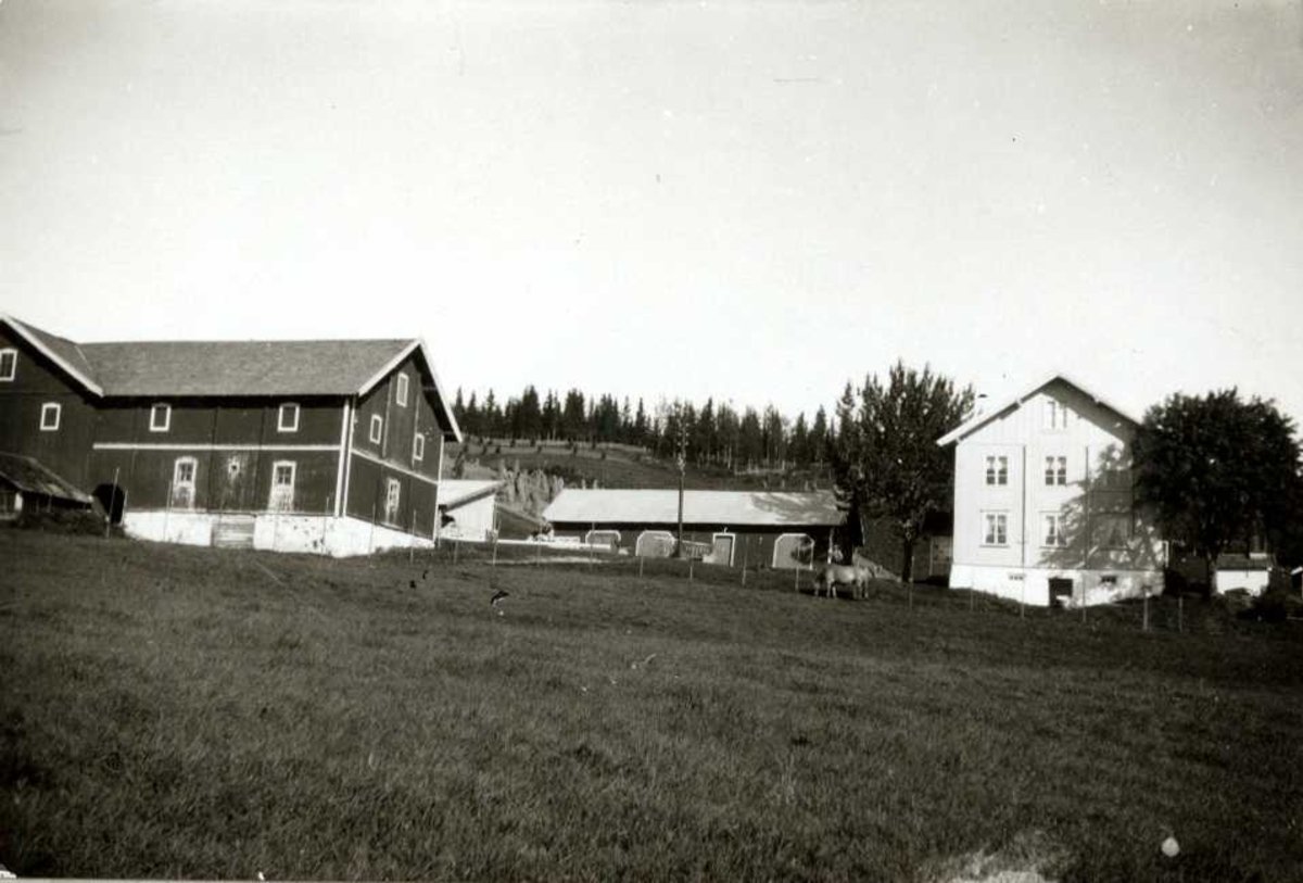 M. Bratberg, Furnes, Ringsaker, Hedmark. Gårdstun sett fra jorde.