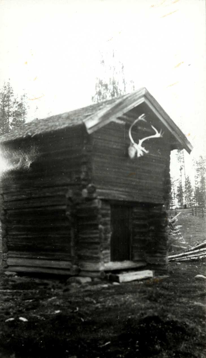 Grøtting, Rendalen, Nord Østerdal, Hedmark 1941. Stabbur med gevir på veggen.