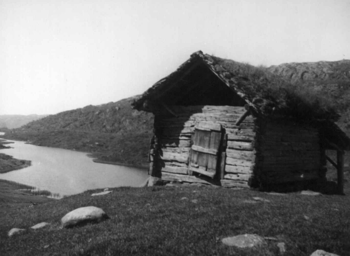 Høyløe på Longhaug, Havrevoll. Suldal, Rogaland.