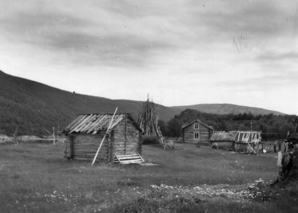 Stabburene og boligen på gården til Samuel Mikkelsen, Levajokgiedde 1952.