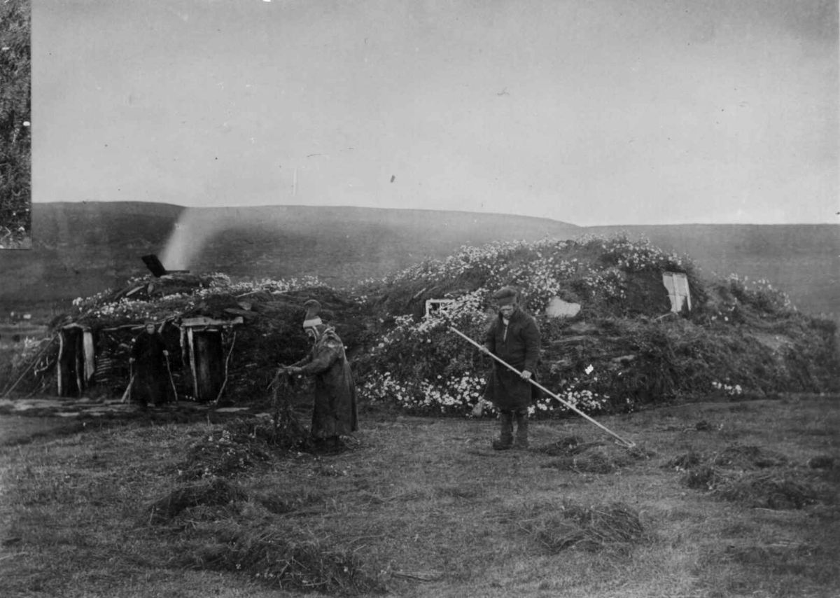 Samisk torvgamme. Maja Nilsens gamme, utenfor står søsknene Nils Maja, Anna og Gaisa Halt i døråpningen, Vestre Jacobselv, Vadsø, Finnmark, 1897. Høyonn.