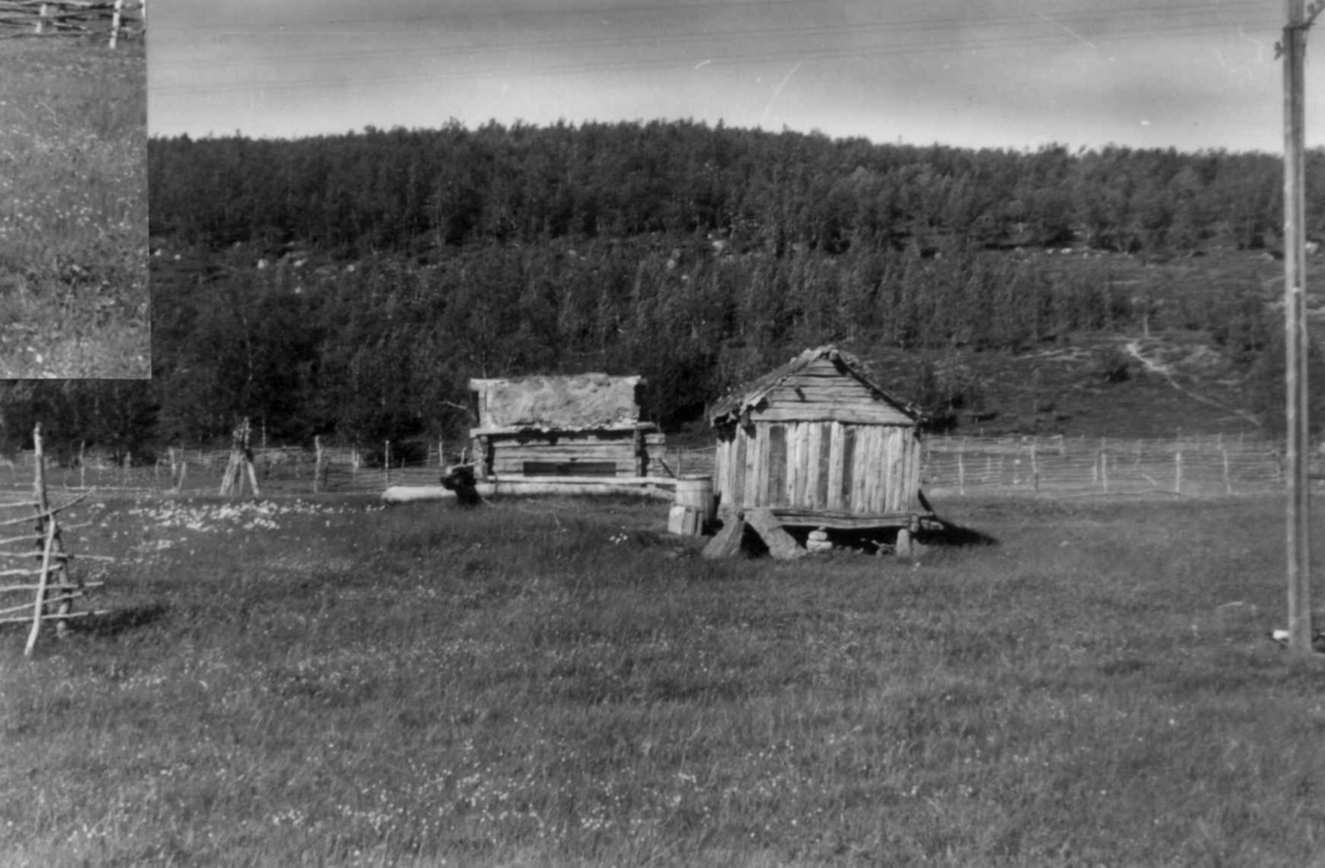 To stabbur på en gård i Sirma, 1952