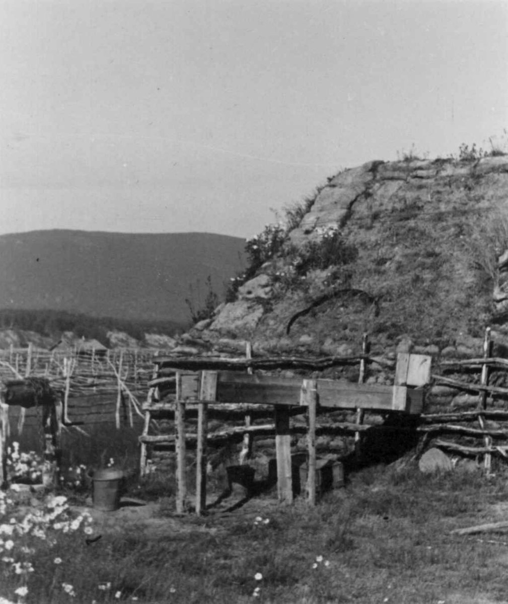 Vannrenne til fjøset på Nils Holmbergs gård, Nuorgam 1948.