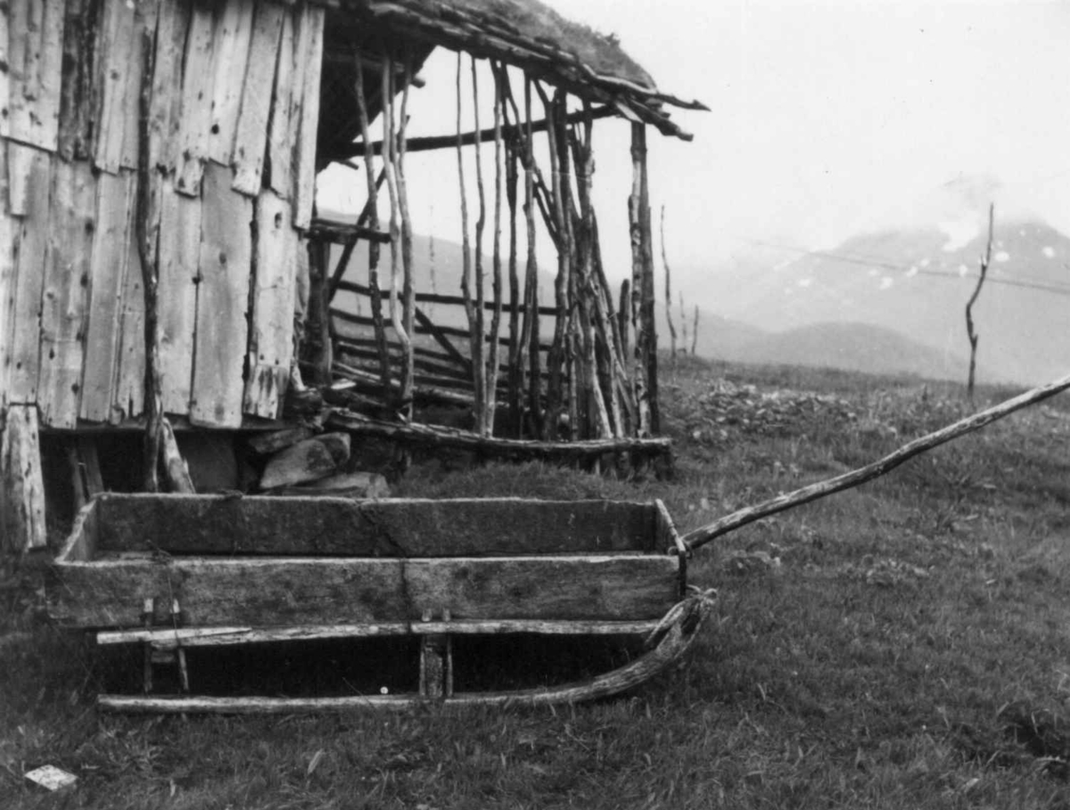 Møkkaslede med trekktau og styrestang foran et uthus. Stordalen 1948.