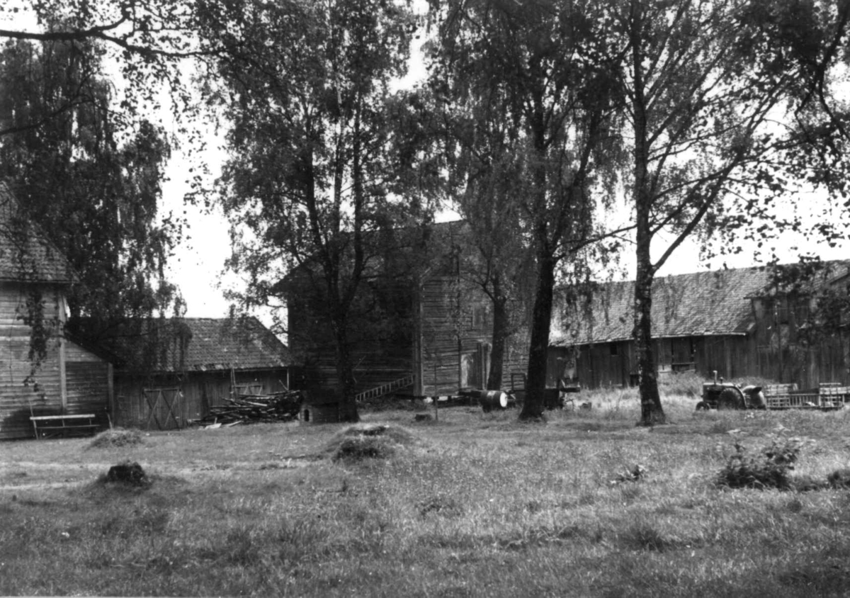 Berg, Nes, Akershus. Stallen sett fra øst. Storgårdsundersøkelser ved Engelstad 1953..
