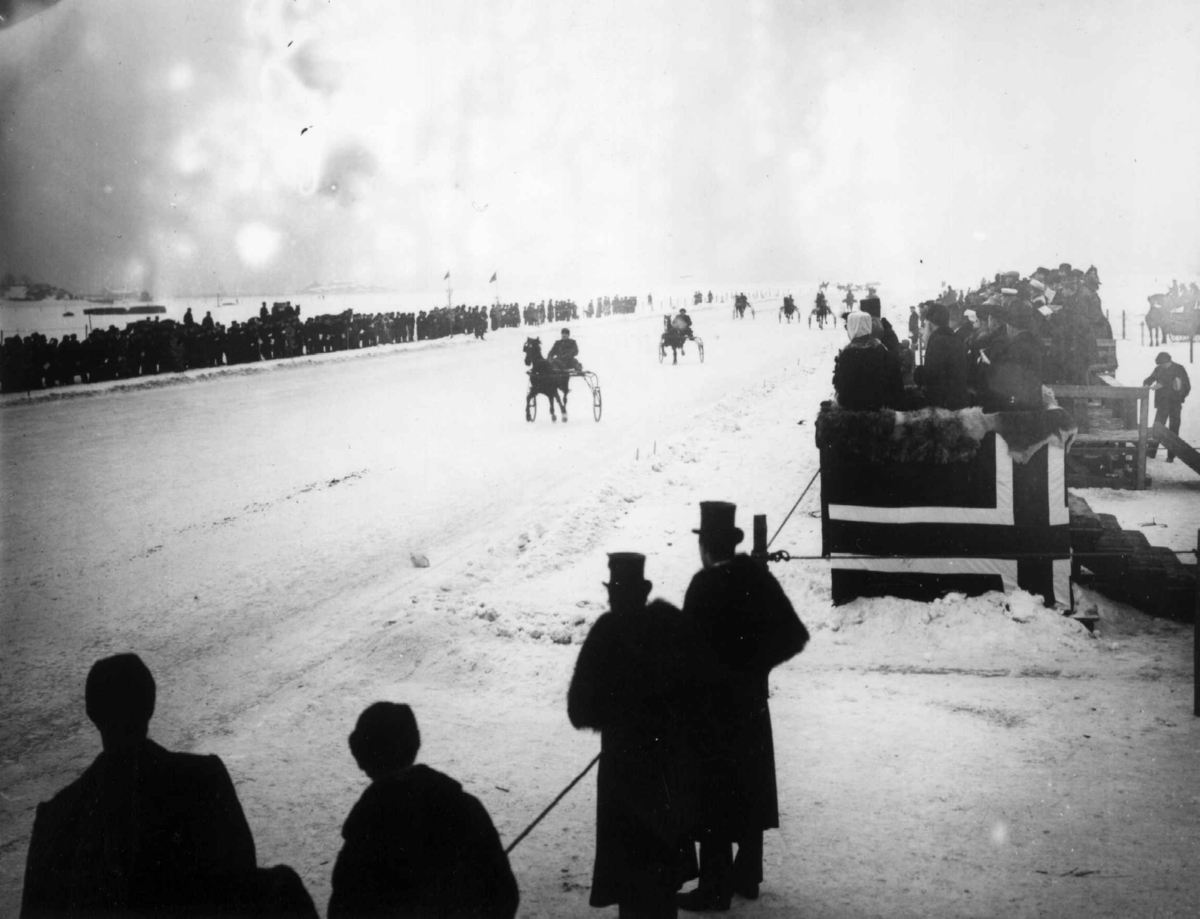 Frognerkilen, Oslo. 1909? Travløp. Hester. Kusker. Publikum.