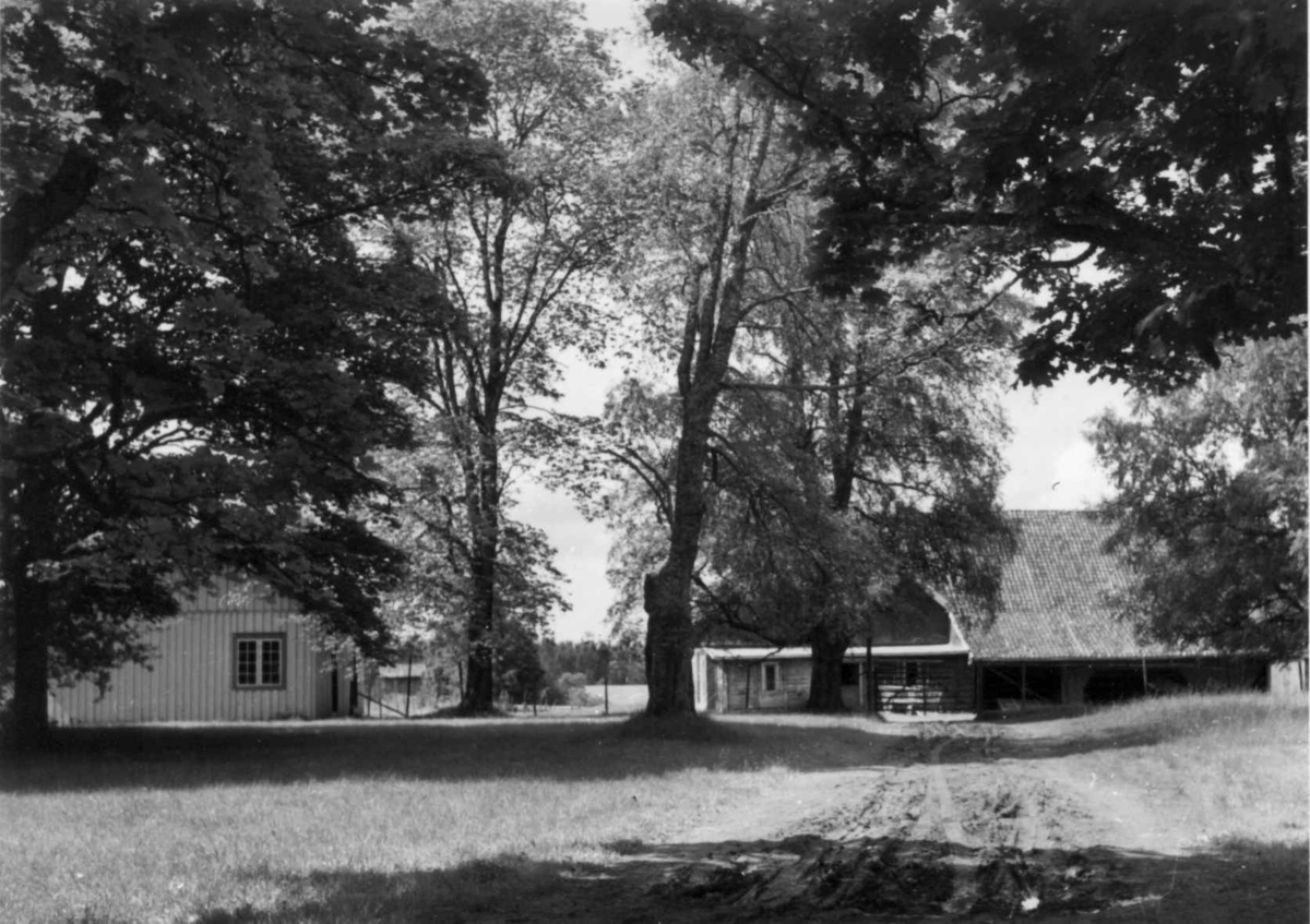 Vedset, Nes, Akershus. Innkjørslen. Storgårdsundersøkelser ved dr. Eivind Engelstad 1954
