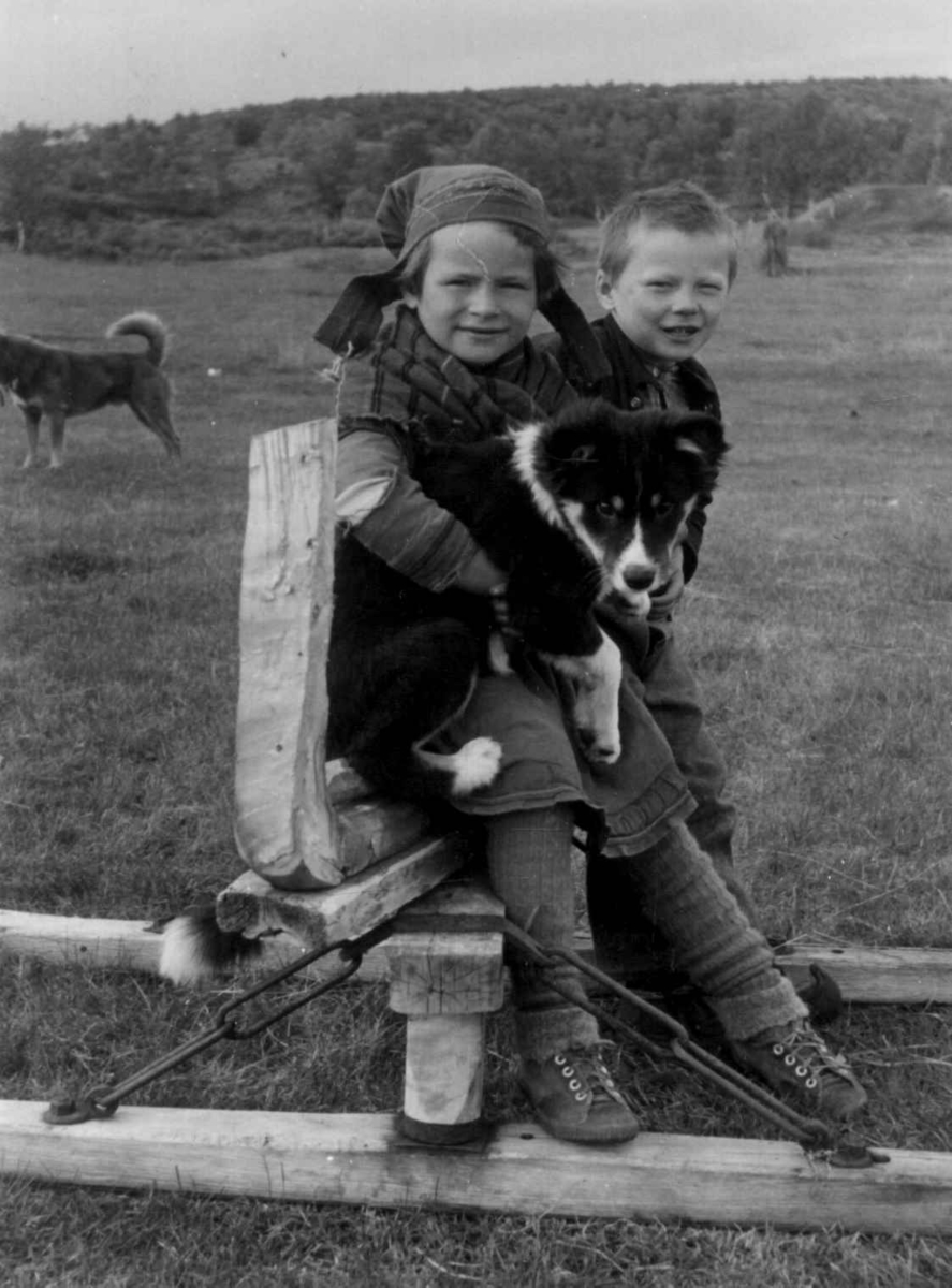 Kristine Sara N. Gaup Bongo og Ole Henrik Magga. 1953.