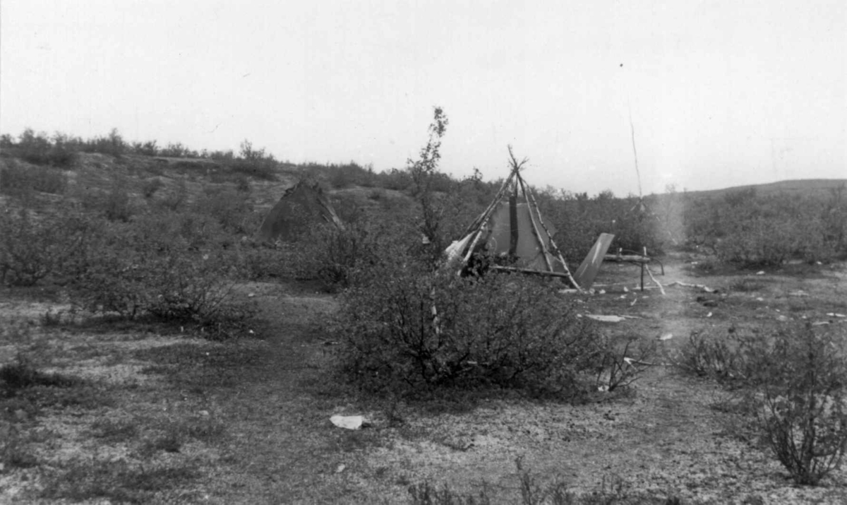 Koketelt på Nils Aslak og Johan Gaups sommerplass. Cunovuoppe 1953.