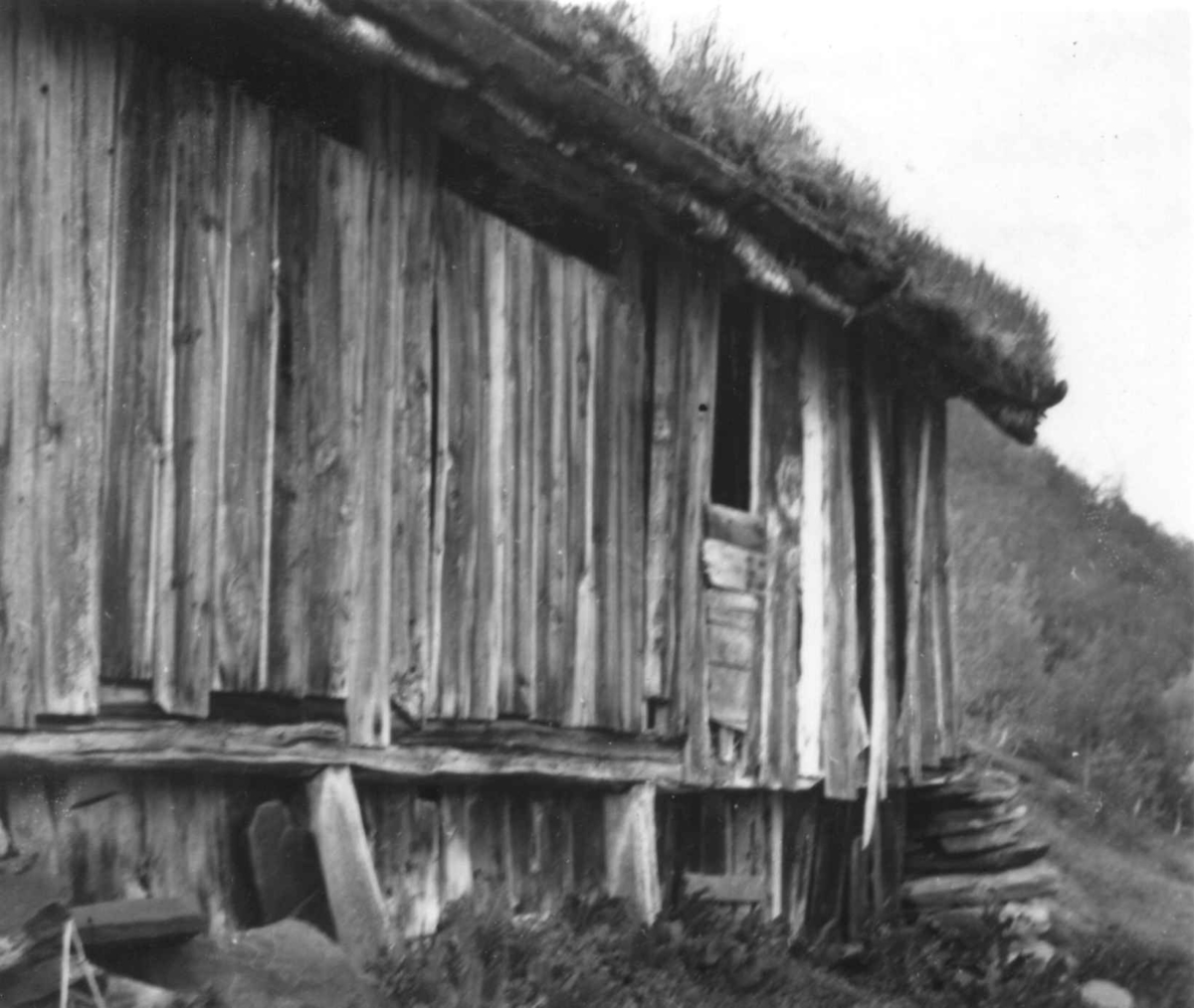 Høyskjå, uthuis, understøttelsen på østveggen, stokker av selje. Yttre Njosken 1953.