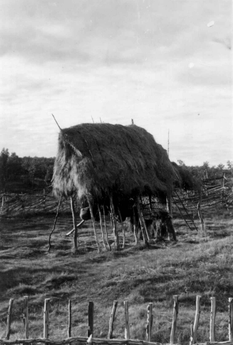 Hoystakk med oppbevaringsplass under, på M. J. Utsis gård. Hemmunjavve 1953.