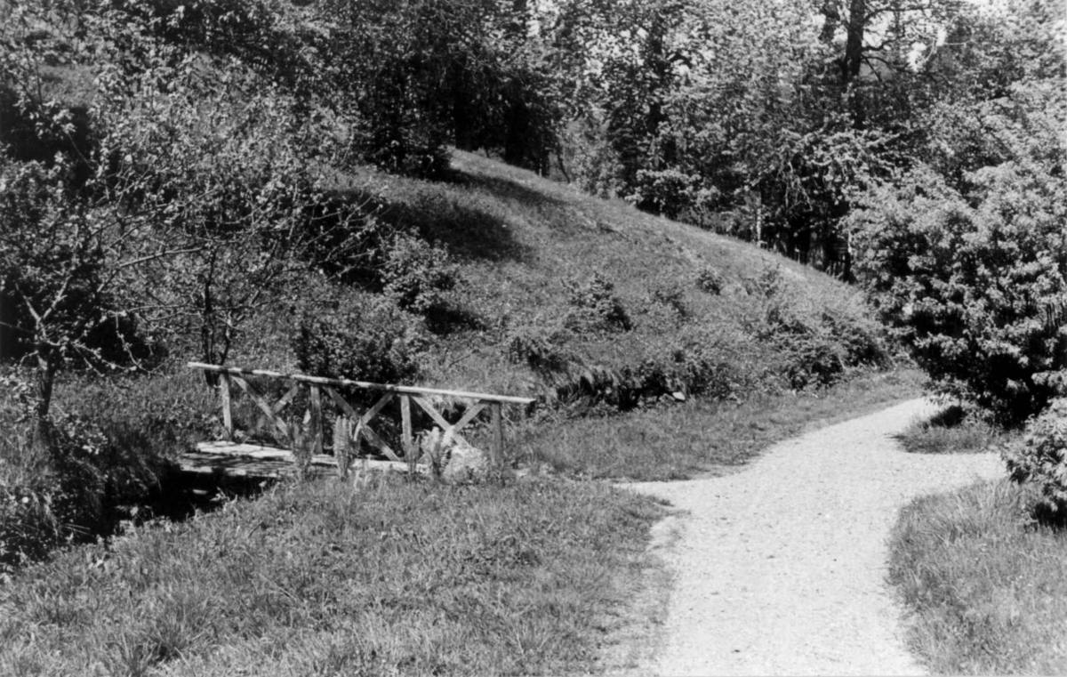 Sorknes, Åmot, Hedmark 1955. 
Fra dr. Eivind S. Engelstads storgårdsundersøkelser 1955