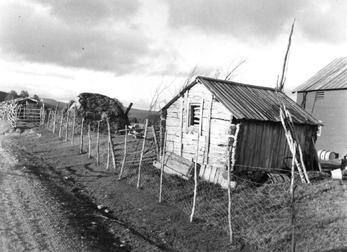 Stabbur, boliggamme, og fjøs på Per Persen Eiras gård, Masi 1956.