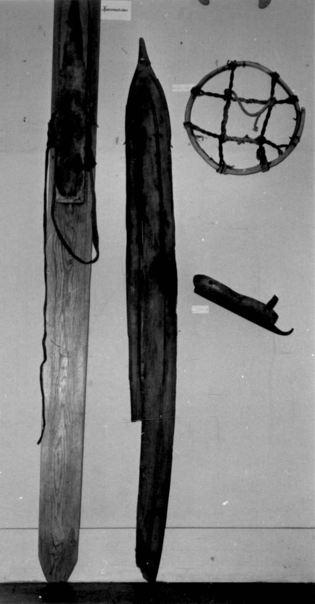 Ski, 148,51 cm. lange. Vilhelmina museum.