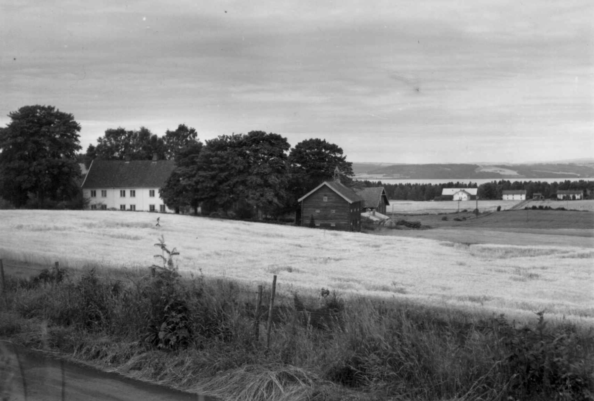 Nordre Såstad, Stange, Hedmark. Bebyggelsen med Mjøsa i bakgrunnen. 
Fra dr. Eivind S. Engelstads storgårdsundersøkelser 1957.