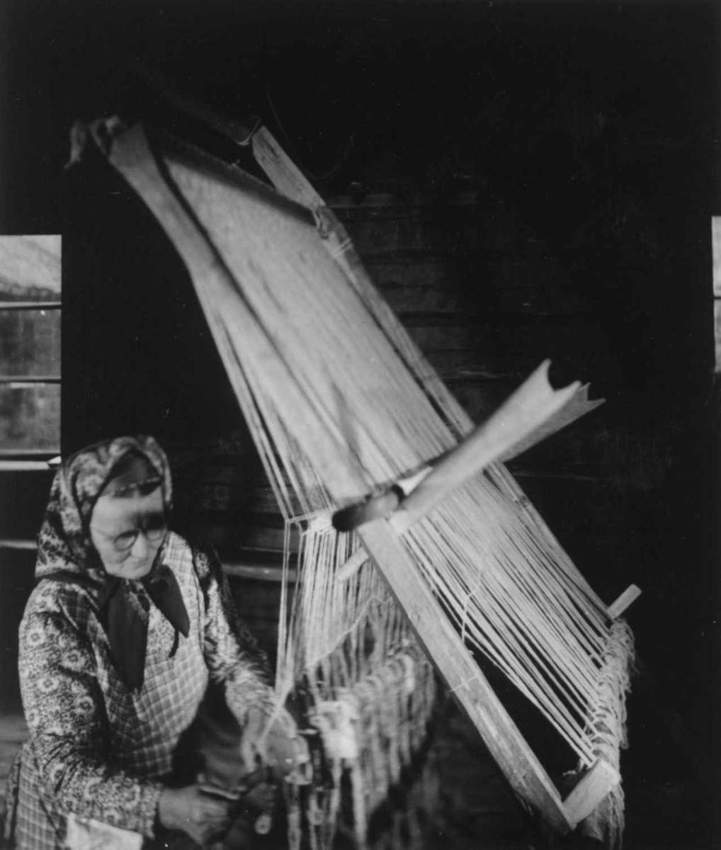 Greneveving (32). Skoltesamen Naska Moshnikov setter fitjetråd i renningen til greneteppet. Seurasaari 1955.