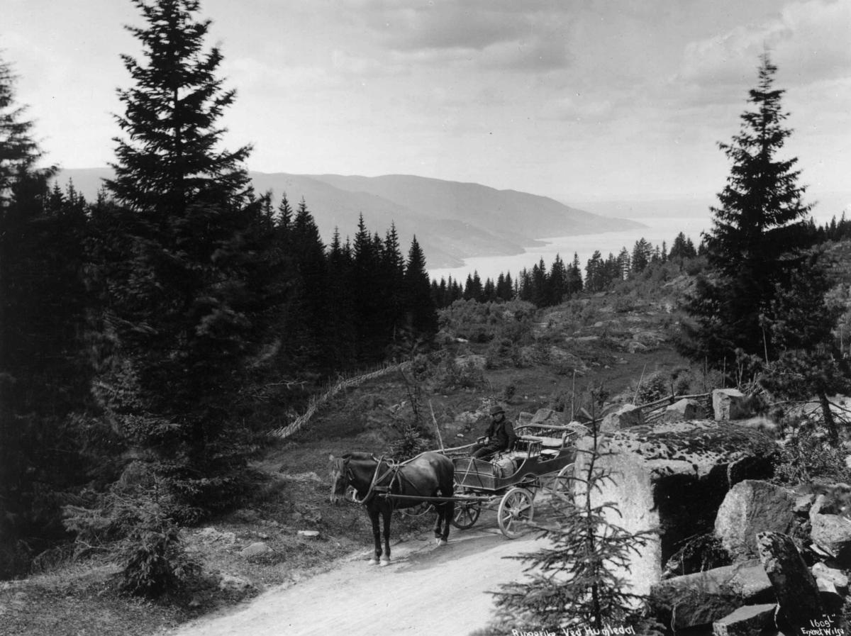 Landskap, ved Homledal, Hole, Buskerud, med veiparti med hestekjøretøy, kjøkkenvogn, -trille. Foto  Axel Lindahl, sanns. 1880-90-årene