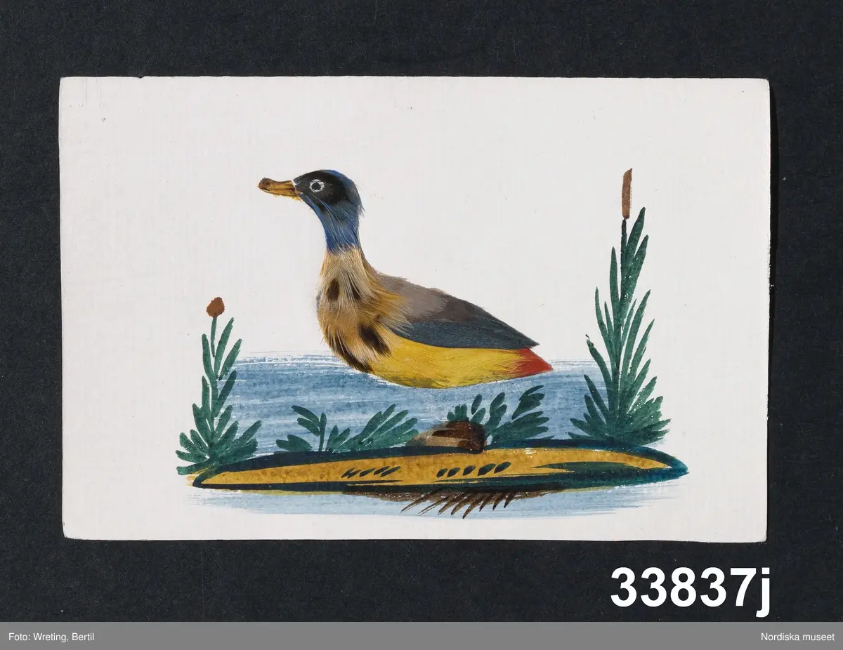 Fågel