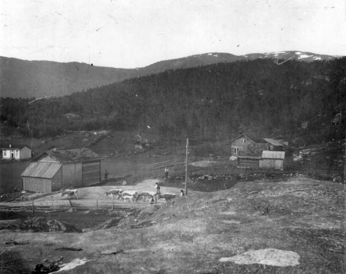 Rysstad
