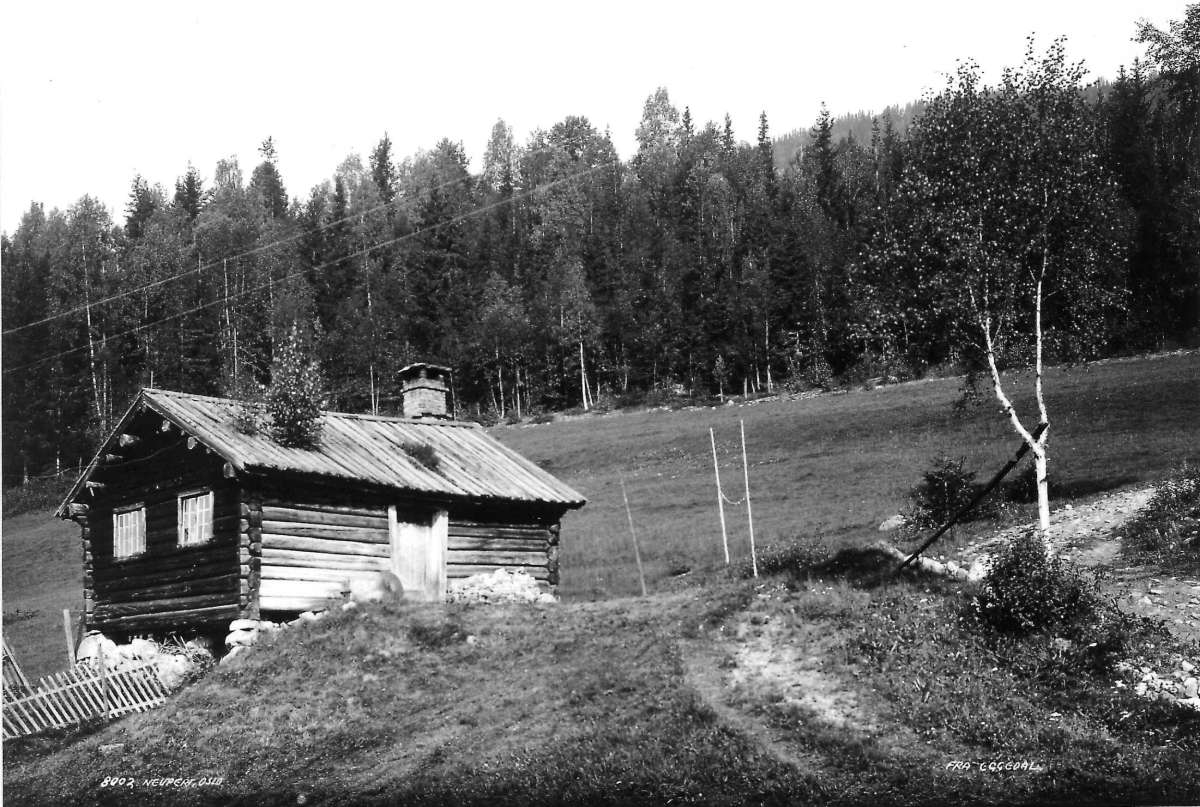 Bråtengårdene. Motiv fra Eggedal. Liten tømmerstue i kanten av et jorde. Skog i bakgrunnen.